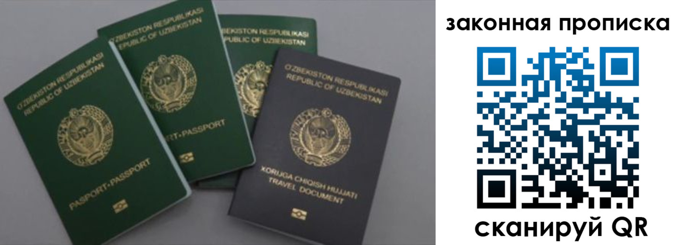 временная регистрация для школы в Завитинске